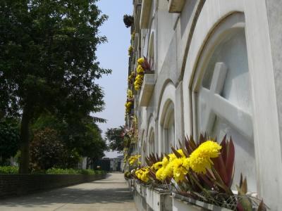 Lima cemetery