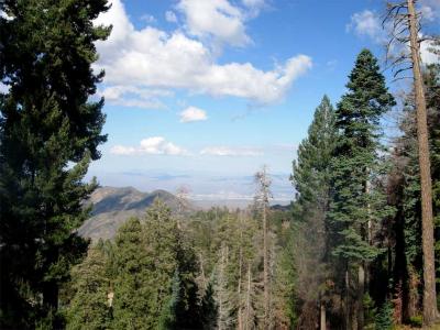 Ski Lift in Santa Catalinas - almost 8000 feet