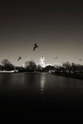g3/30/516430/3/57509609.DC215a.jpg
