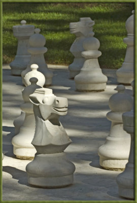 2008088768 copy.jpg