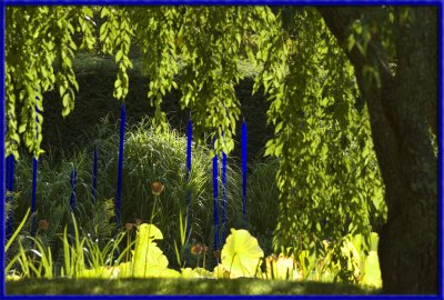 2008088816 copy.jpg