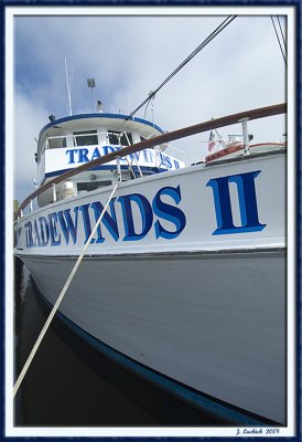 2008098834.jpg