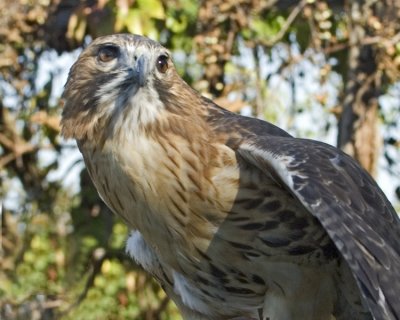 2007105837 copy.jpg