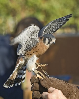 2007105865 copy 2.jpg