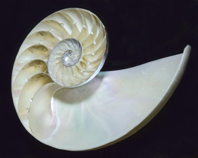 2007105938 copy.jpg