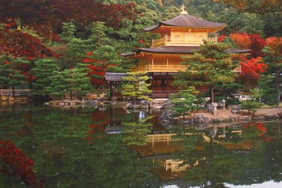 Historic gardens - Kinkaku-Ji, Kyoto, Japan