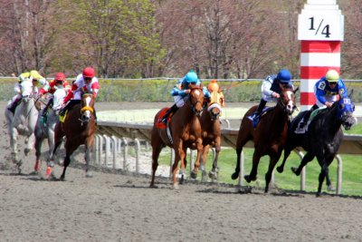 1/4 mile to go,coming around the bend, Arlington Park Race Track