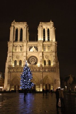 Notre Dame de Paris at night, Paris, France