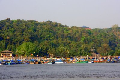 Mandovi River