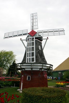 Windmill, Holland, Michigan