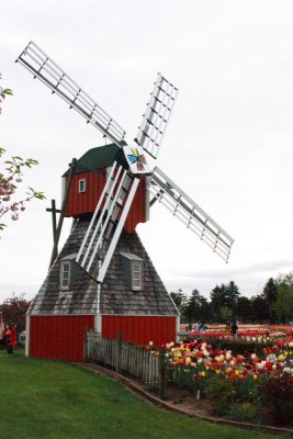 Windmill, Holland, Michigan