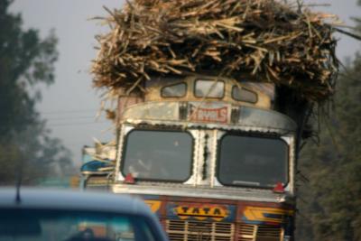 Truck carrying Sugarcane, Uttar Pradesh