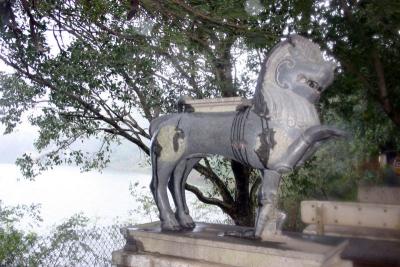 Lion by the lake, Tirumala