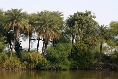 Keoladeo National Park, India