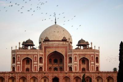 A haven for birds, Humayun's tomb, Delhi