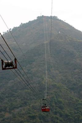 The awesome climb, Timber Trail, Parwanoo, Himachal Pradesh