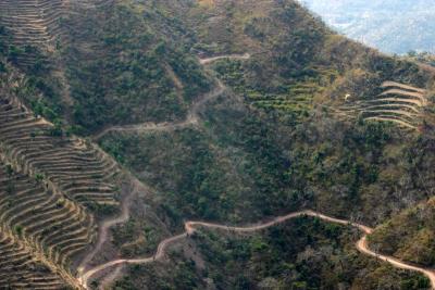 Winding road, Timber Trail, Parwanoo, Himachal Pradesh