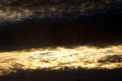 The golden sky, Chail, Himachal Pradesh