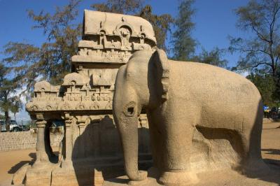 Elephant, Mahabalipuram