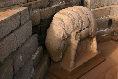 An excavated statue of a pig, Mahabalipuram