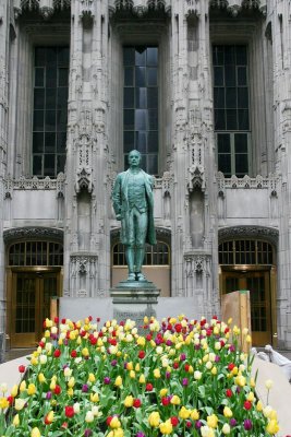 Nathan Hale and the tulips, Magnificent Mile, Chicago