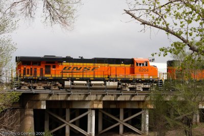 BNSF  6175 NB@Denver-6439.jpg