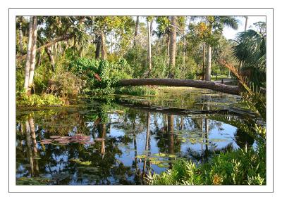 McKee Gardens