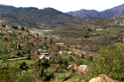 Village