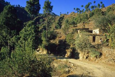 Road through village