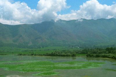Lake in Kashmir Valley