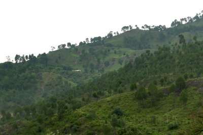 Mountains