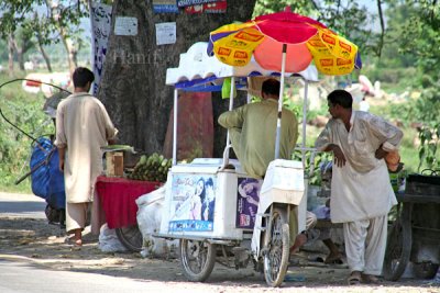 Street Hawker