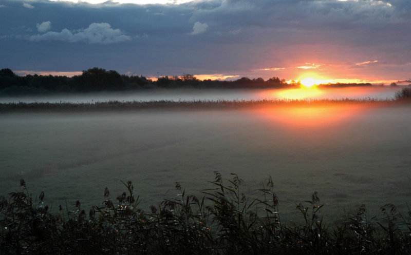  Lucky Early Evening Mist72.jpg