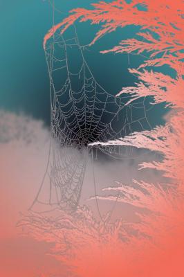 Using-blend-modes4fun.jpg