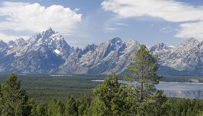 Yellowstone & Grand Tetons 2005