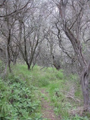 IMG_9876.jpg