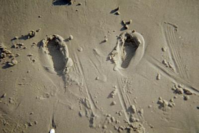 The photographer's footprints 2001ish