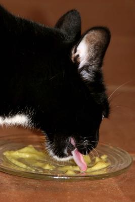 Katze Loves Pea Soup