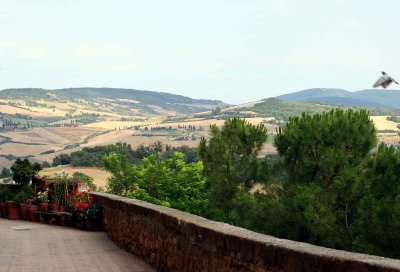 Pienza countryside.jpg