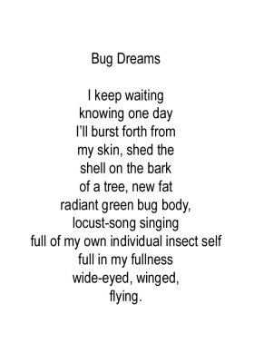 Bug Dreams