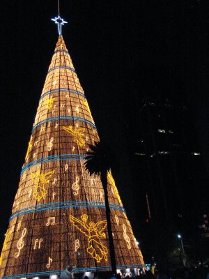 MEXICO CITY TALLEST CHRISTMAS TREE IN  THE WORLD 2009