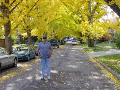 CATALPA  ROAD, LEXINGTON