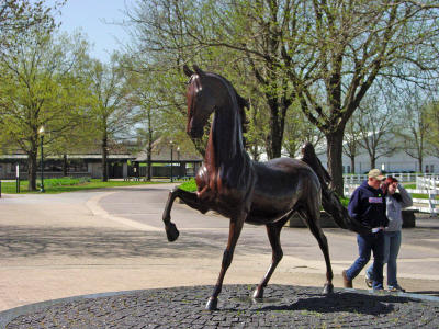 Phoenix Horse statue