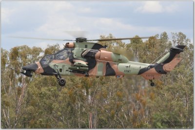 Armed Recon Helicopter - Amberley 3 Dec 07