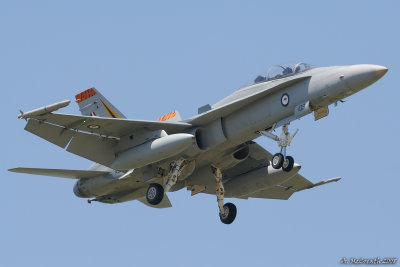 RAAF Hornet - Williamtown - 11 Dec 06