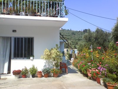 Cretan house with flower pots