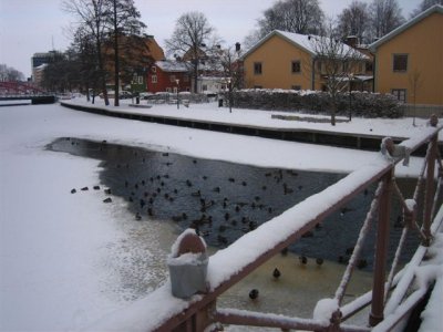 IMG_8150.JPG
