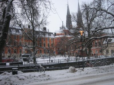 IMG_8162.JPG