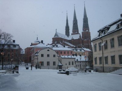 IMG_8165.jpg