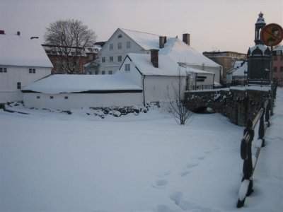 IMG_8367.JPG